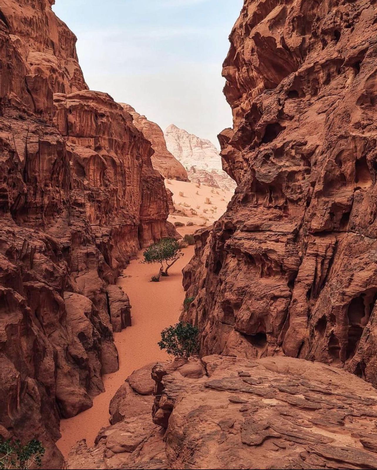 Rum Magic Luxury Camp Wadi Rum Exterior photo